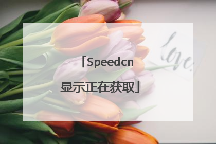 Speedcn显示正在获取