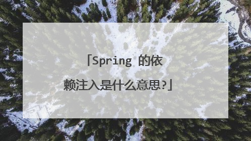 Spring 的依赖注入是什么意思?