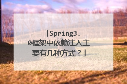 Spring3.0框架中依赖注入主要有几种方式？