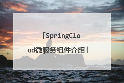 SpringCloud微服务组件介绍