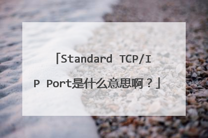 Standard TCP/IP Port是什么意思啊？