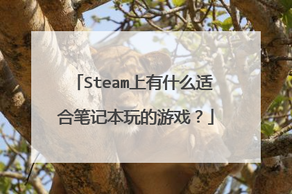 Steam上有什么适合笔记本玩的游戏?