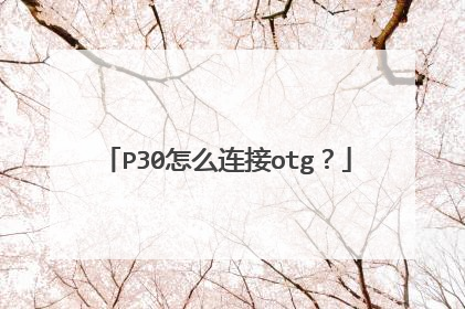 P30怎么连接otg?
