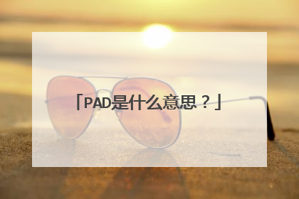 PAD是什么意思？