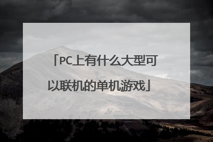 PC上有什么大型可以联机的单机游戏