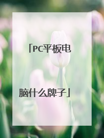 PC平板电脑什么牌子