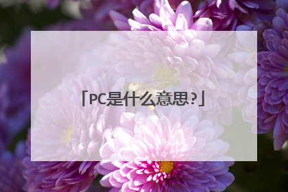 PC是什么意思?