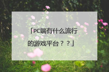 PC端有什么流行的游戏平台？？