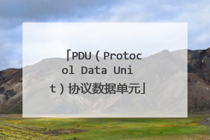 PDU（Protocol Data Unit）协议数据单元