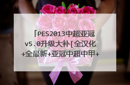 PES2013中超亚冠v5.0升级大补[全汉化+全最新+亚冠中超中甲+多联赛]后，怎麼中超球会的阵容不是最新的？