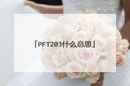 PFT203什么意思