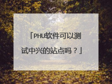 PHU软件可以测试中兴的站点吗？