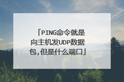 PING命令就是向主机发UDP数据包,但是什么端口