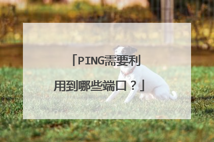 PING需要利用到哪些端口？