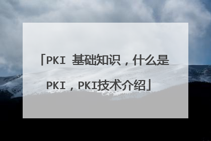 PKI 基础知识,什么是PKI,PKI技术介绍
