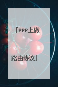 PPP上做路由协议