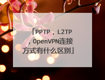 PPTP,L2TP,OpenVPN连接方式有什么区别