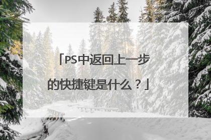 PS中返回上一步的快捷键是什么？