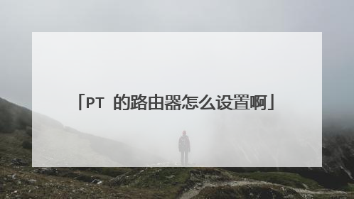 PT 的路由器怎么设置啊