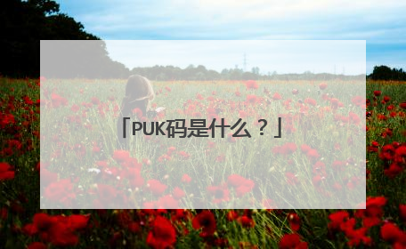 PUK码是什么？