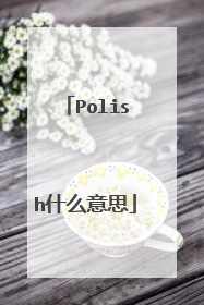 Polish什么意思