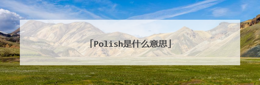Polish是什么意思