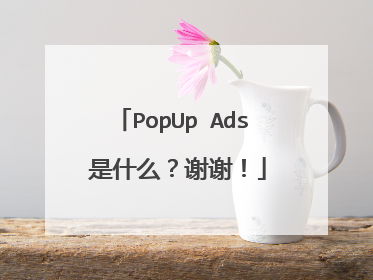 PopUp Ads 是什么？谢谢！
