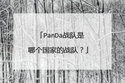 PanDa战队是哪个国家的战队？