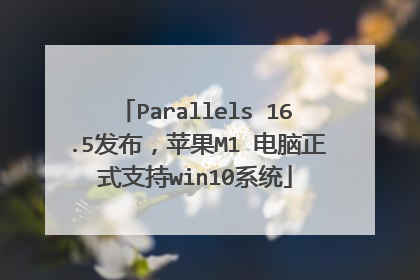 Parallels 16.5发布,苹果M1 电脑正式支持win10系统