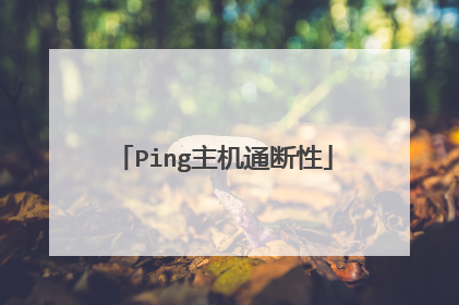 Ping主机通断性