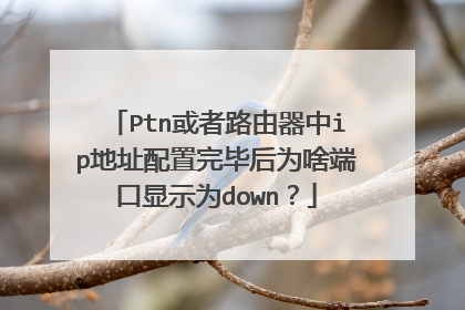 Ptn或者路由器中ip地址配置完毕后为啥端口显示为down?