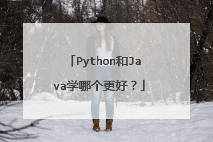Python和Java学哪个更好?
