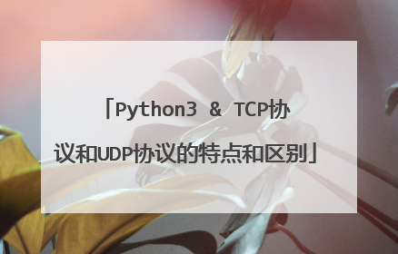 Python3 & TCP协议和UDP协议的特点和区别