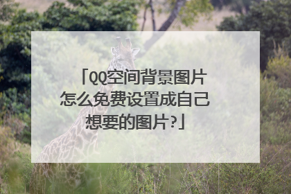 QQ空间背景图片怎么免费设置成自己想要的图片?
