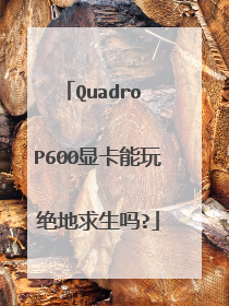 Quadro P600显卡能玩绝地求生吗?