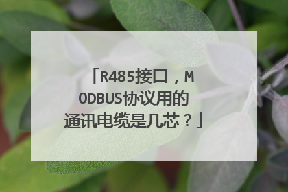 R485接口，MODBUS协议用的通讯电缆是几芯？