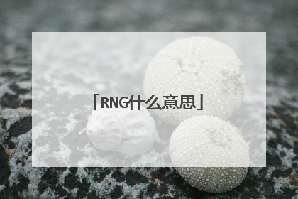 RNG什么意思