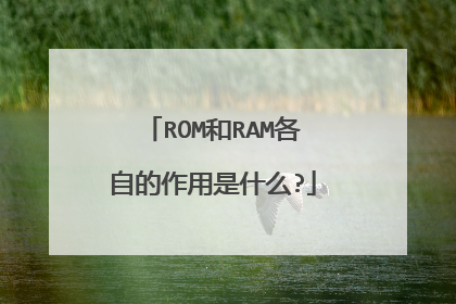 ROM和RAM各自的作用是什么?