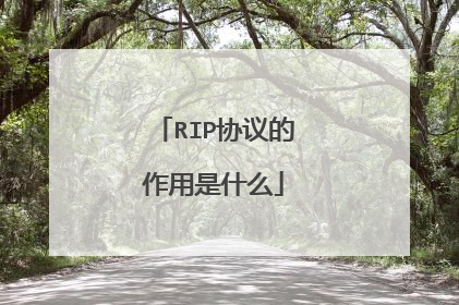 RIP协议的作用是什么
