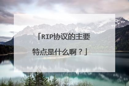 RIP协议的主要特点是什么啊？