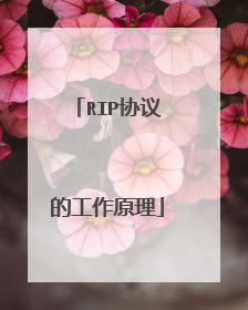 RIP协议的工作原理