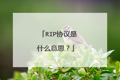 RIP协议是什么意思？