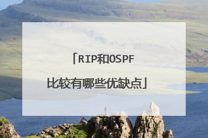 RIP和OSPF比较有哪些优缺点