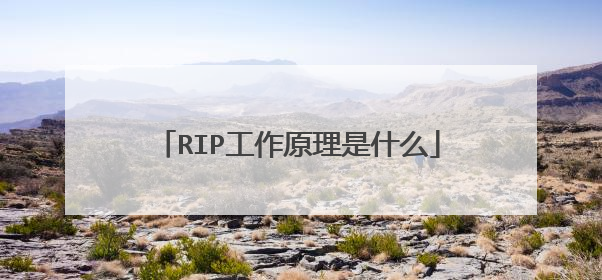 RIP工作原理是什么