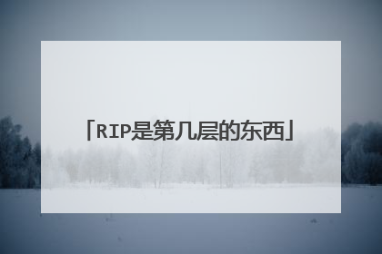 RIP是第几层的东西