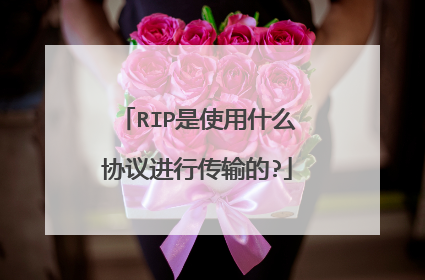 RIP是使用什么协议进行传输的?