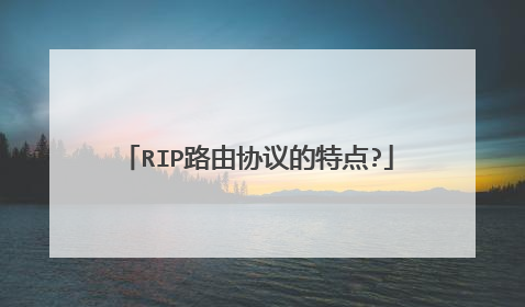 RIP路由协议的特点?