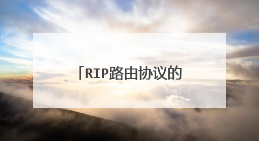 RIP路由协议的主要特点有哪些