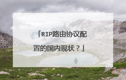 RIP路由协议配置的国内现状？