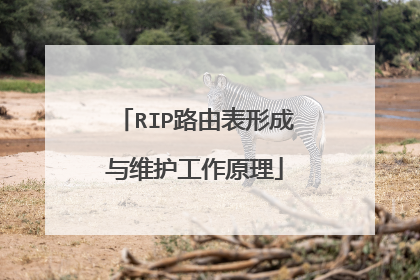 RIP路由表形成与维护工作原理